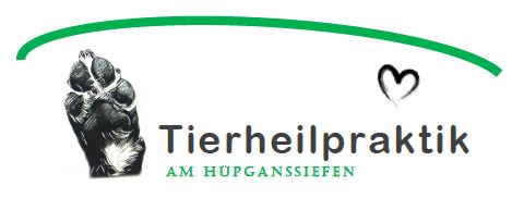 NEU bei der Hundeheia®